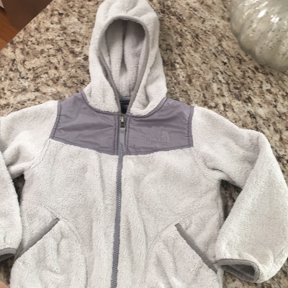 The North Face Other - The North Face coat